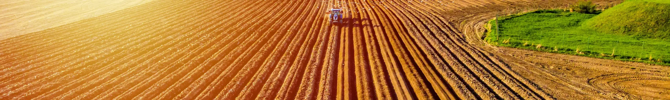 ViSOAR for Agriculture